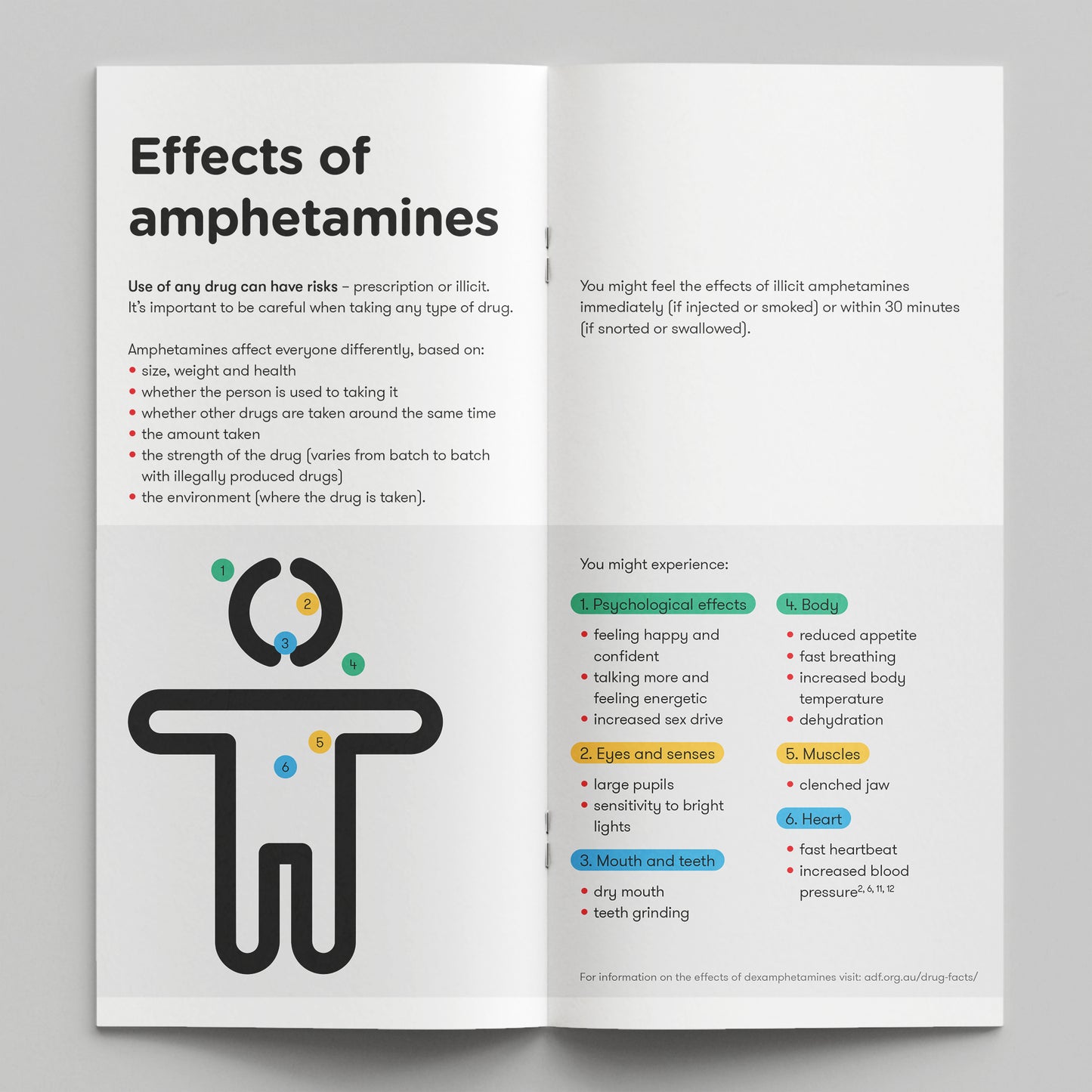 Amphetamines. How Drugs Affect You (bundle of 50)