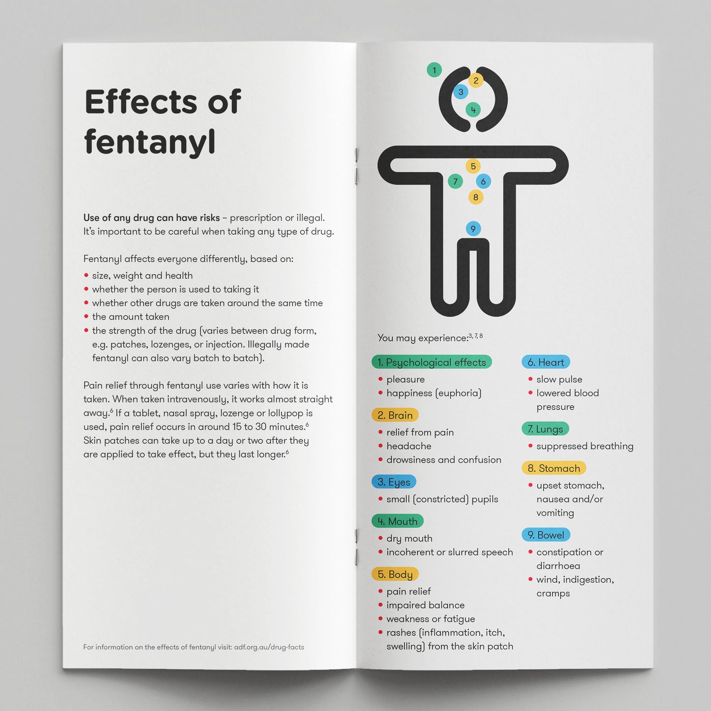 Fentanyl. How Drugs Affect You (bundle of 50)