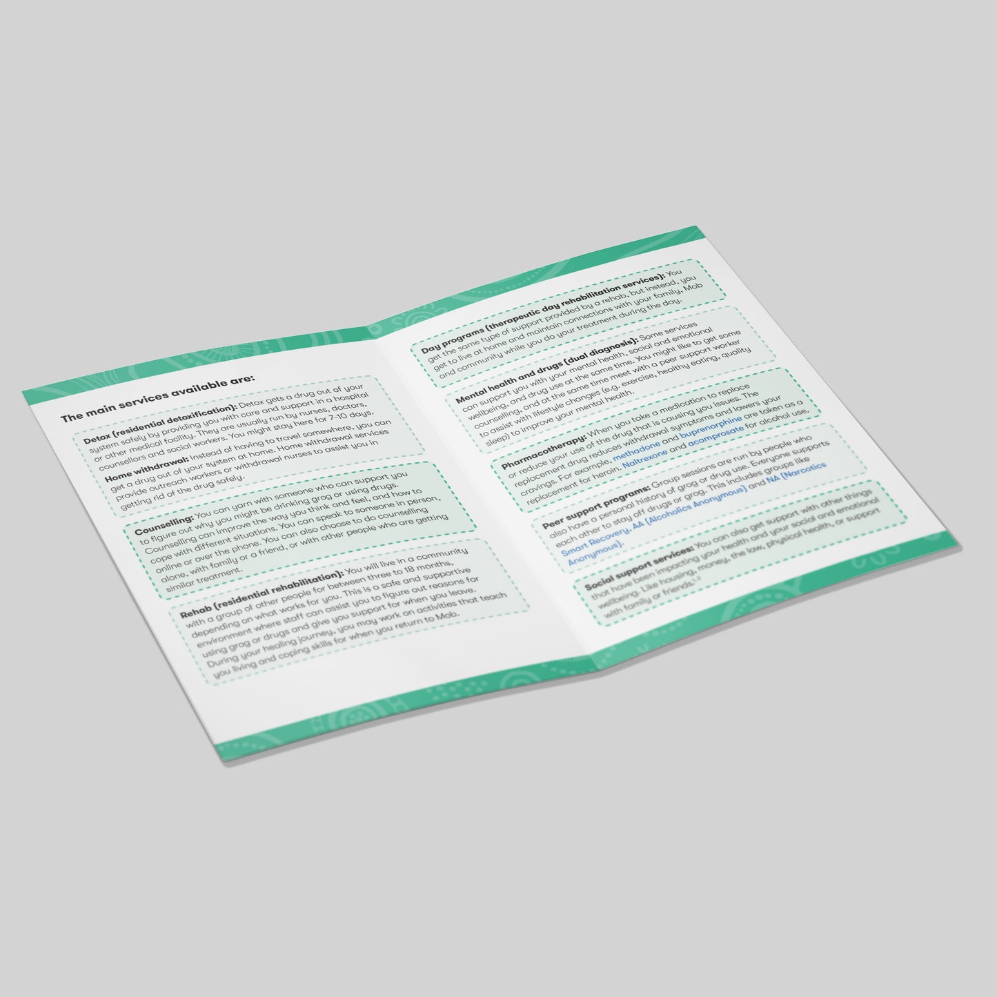Different Types of Alcohol and Drug Treatment: First Nations Resource (bundle of 50)