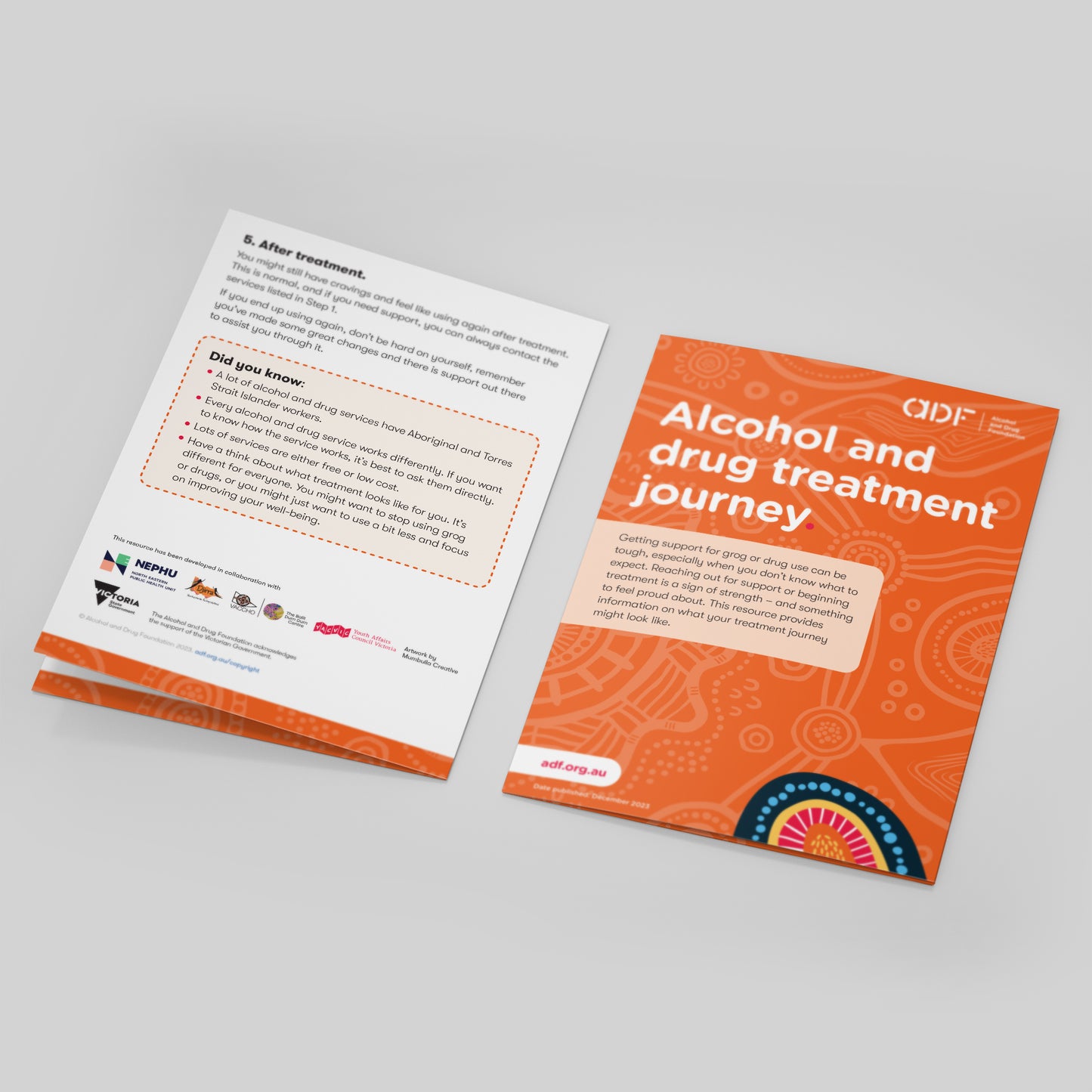 Alcohol and Drug Treatment Journey: First Nation Resource (bundle of 50)