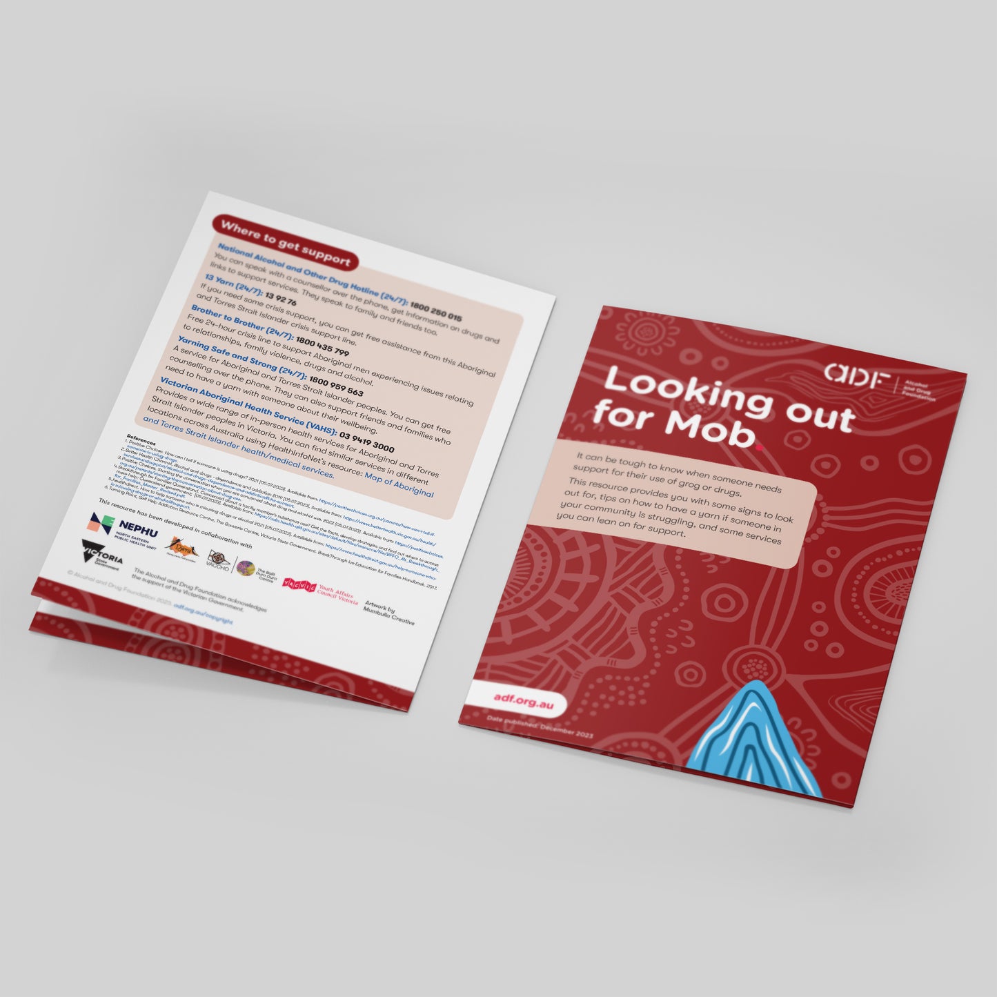 Looking Out for Mob: First Nations Resource (bundle of 50)