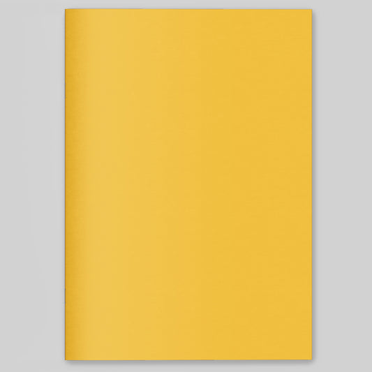 Alcohol Diary (bundle of 25)