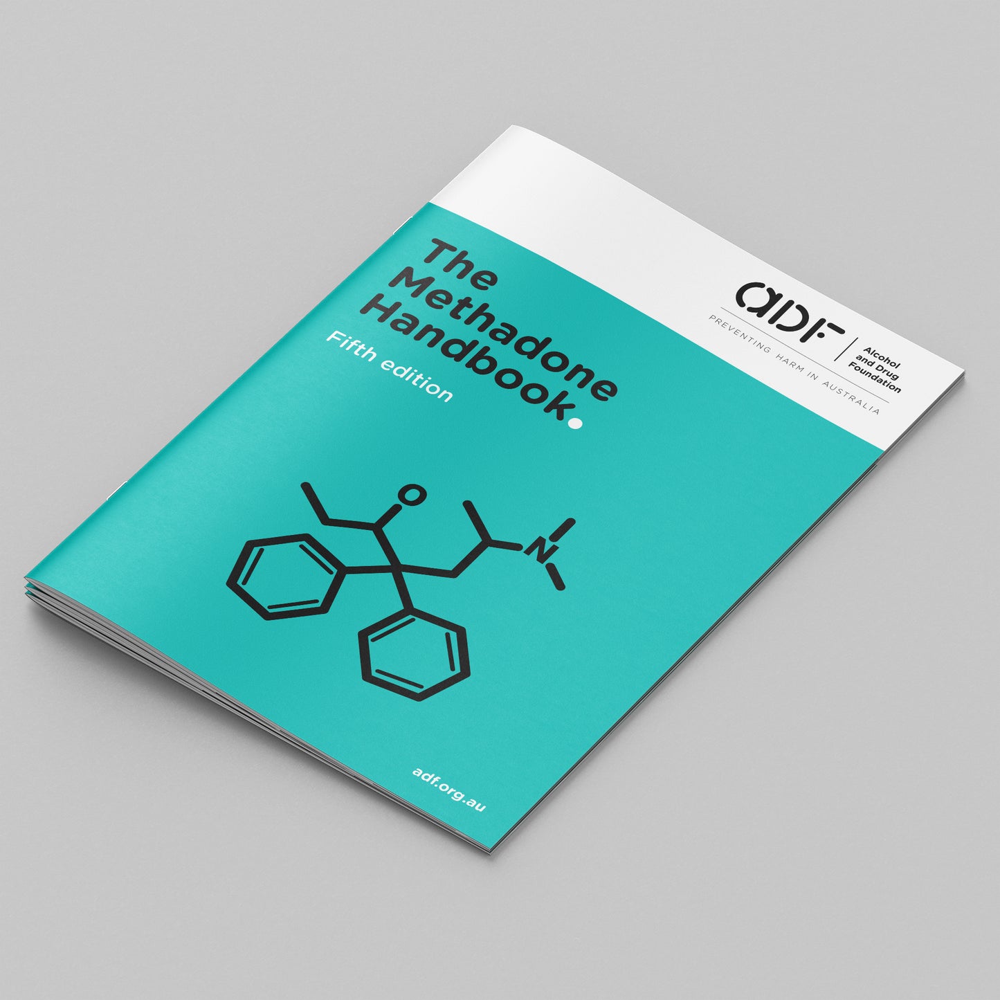 The Methadone Handbook (bundle of 10)