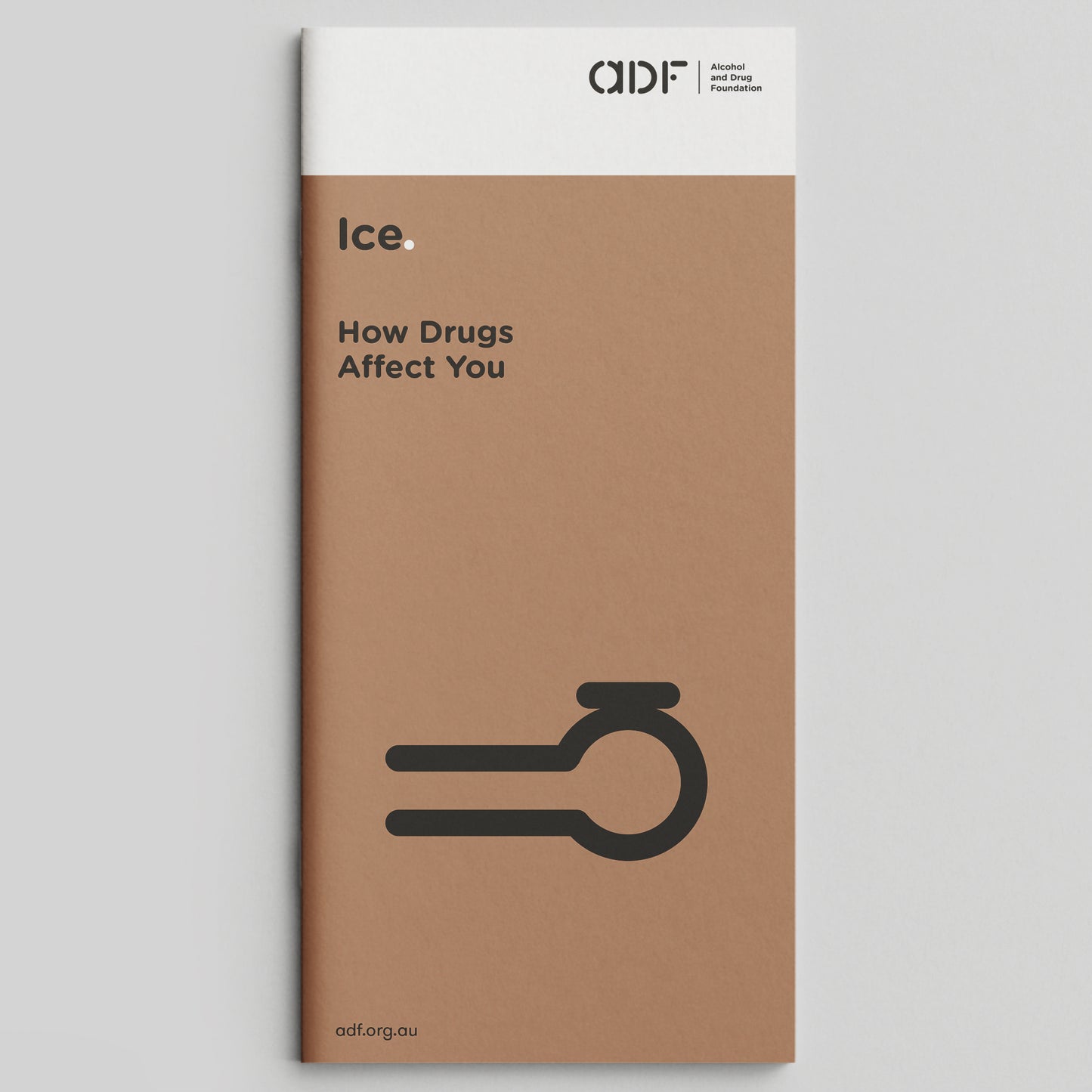 Ice. How Drugs Affect You (bundle of 50)