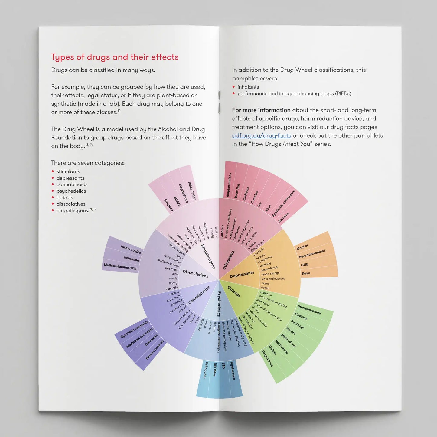 Drugs and Their Effects: How Drugs Affect You (bundle of 50)
