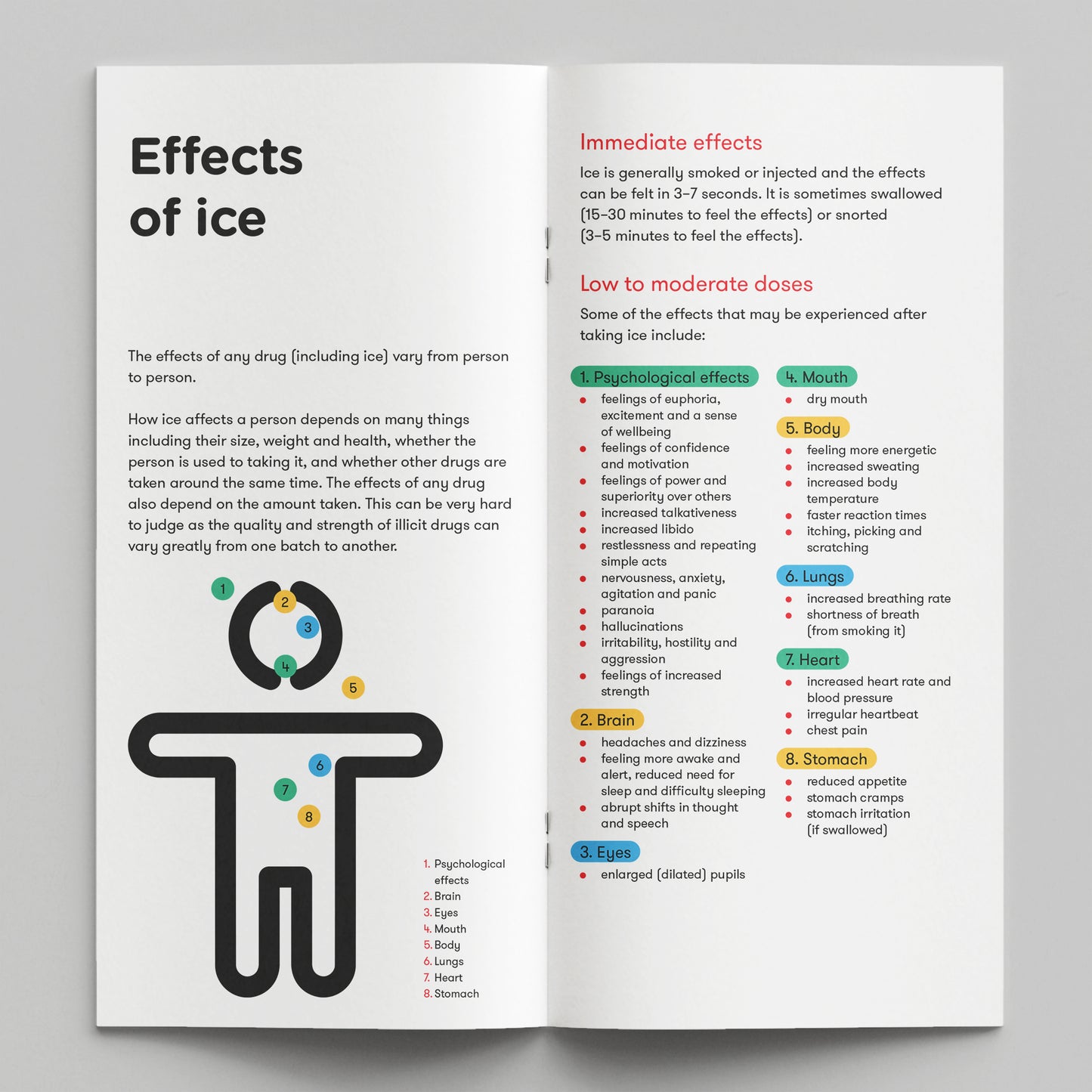 Ice. How Drugs Affect You (bundle of 50)