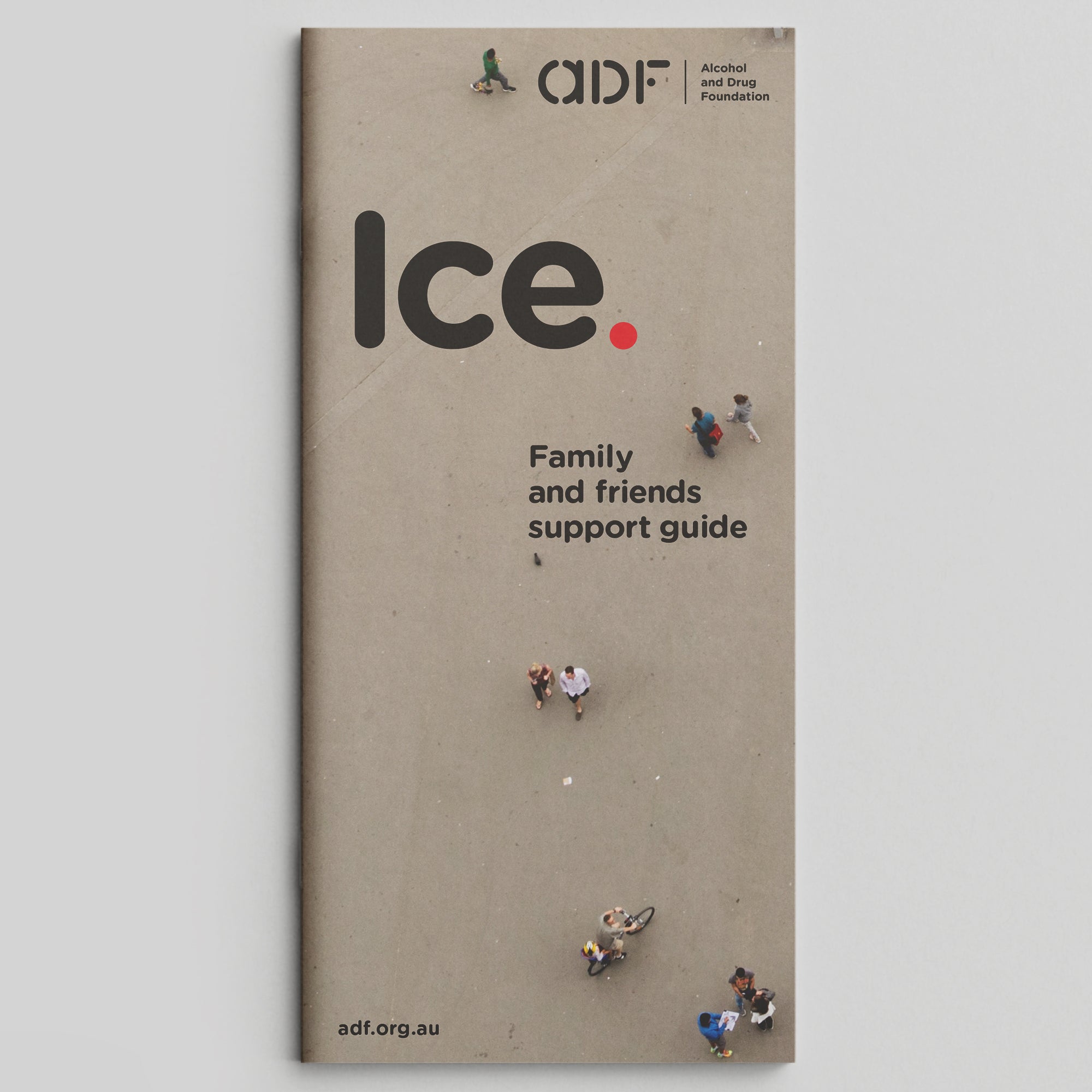 Ice. Family and Friends Guide (bundle of 25) – ADF Shop