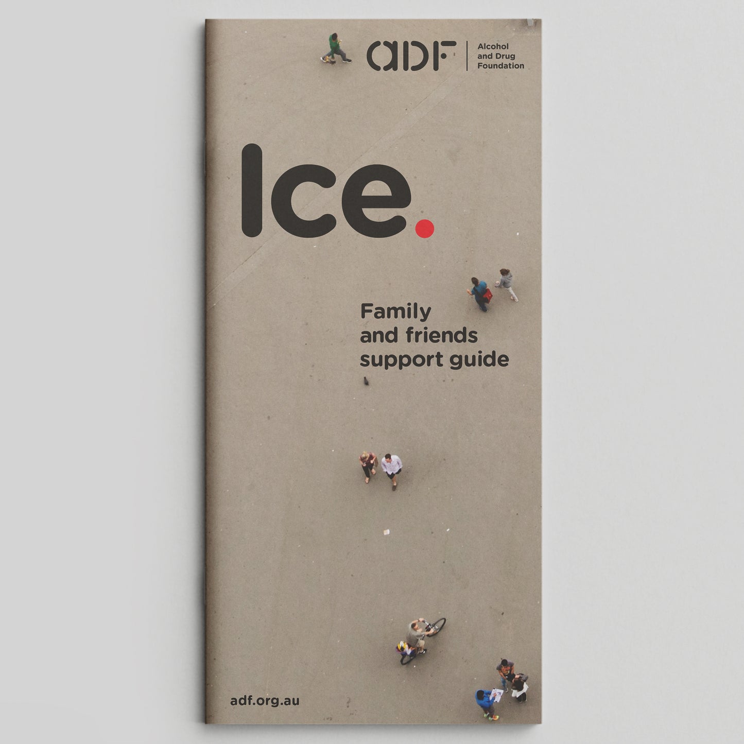 Ice. Family and Friends Guide (bundle of 25)