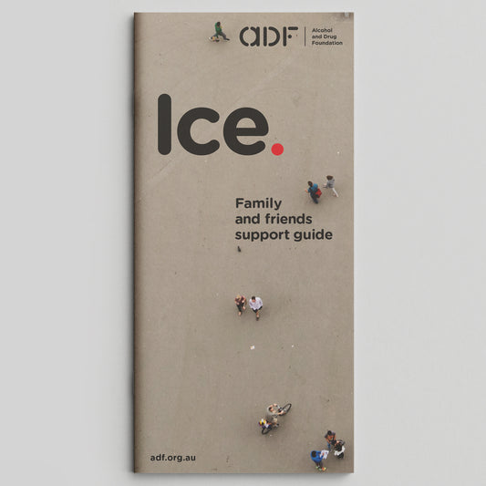 Ice. Family and Friends Guide (bundle of 25)